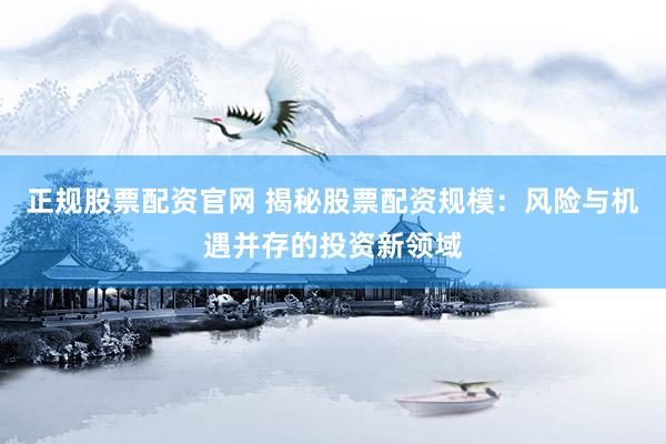 正规股票配资官网 揭秘股票配资规模：风险与机遇并存的投资新领域