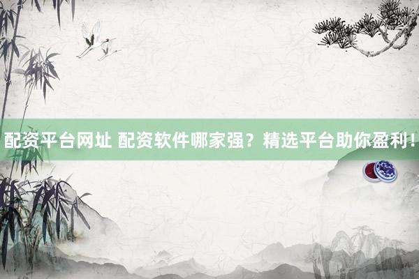 配资平台网址 配资软件哪家强？精选平台助你盈利！