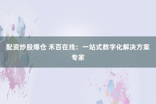 配资炒股爆仓 禾百在线：一站式数字化解决方案专家