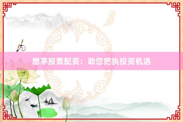 想茅股票配资：助您把执投资机遇