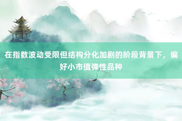 在指数波动受限但结构分化加剧的阶段背景下，偏好小市值弹性品种