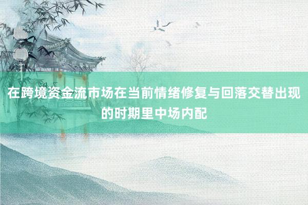 在跨境资金流市场在当前情绪修复与回落交替出现的时期里中场内配
