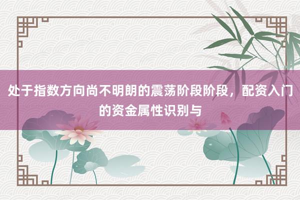 处于指数方向尚不明朗的震荡阶段阶段，配资入门的资金属性识别与