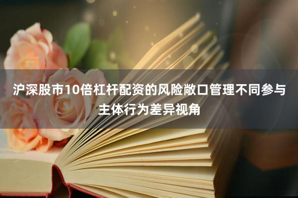 沪深股市10倍杠杆配资的风险敞口管理不同参与主体行为差异视角