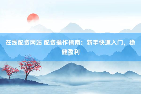 在线配资网站 配资操作指南：新手快速入门，稳健盈利
