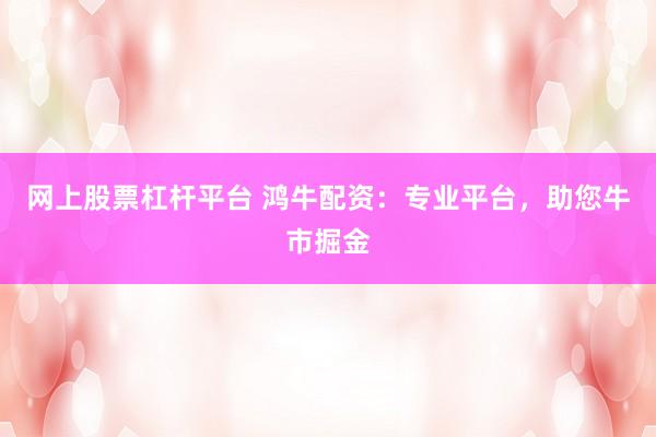 网上股票杠杆平台 鸿牛配资：专业平台，助您牛市掘金